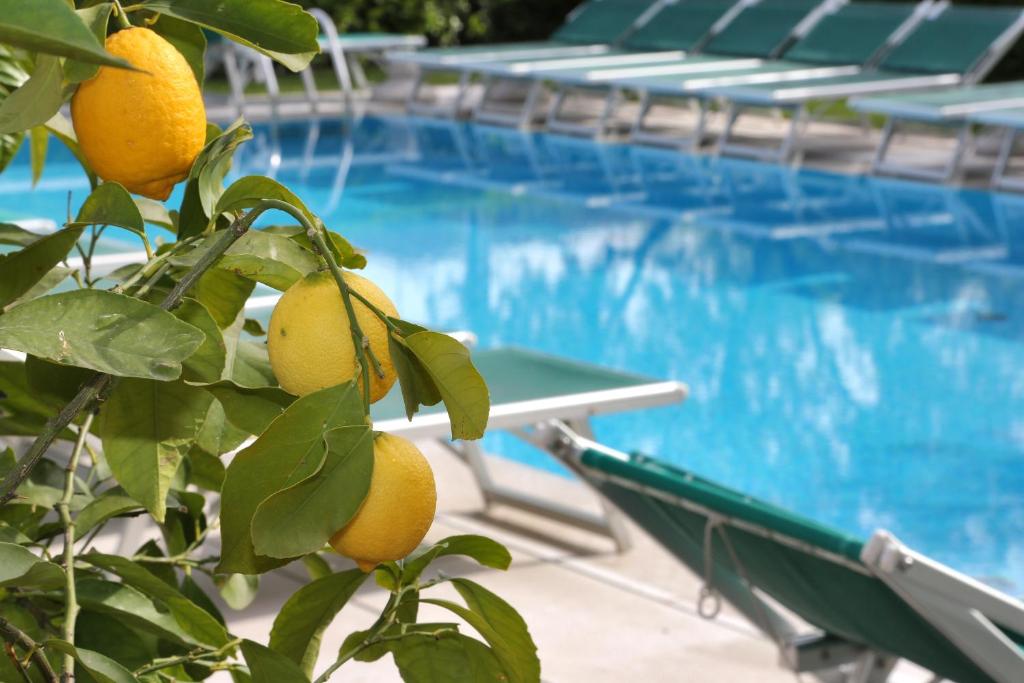 Hotel Al Sole Bardolino - 3 star accommodation in Bardolino, Lake Garda, Italy
