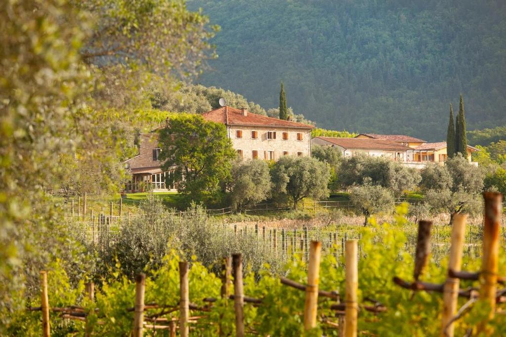 Costa degli Ulivi - 3 star hotels in Fumane, Lake Garda, Italy