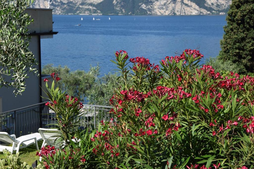 Hotel Vela Azzurra - 2 star accommodation in Malcesine, Lake Garda, Italy